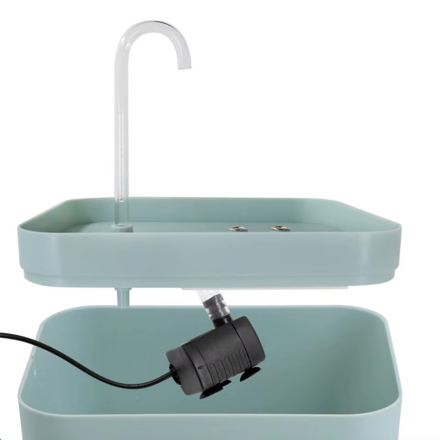 Fuente de agua para una hidratación óptima de su gato