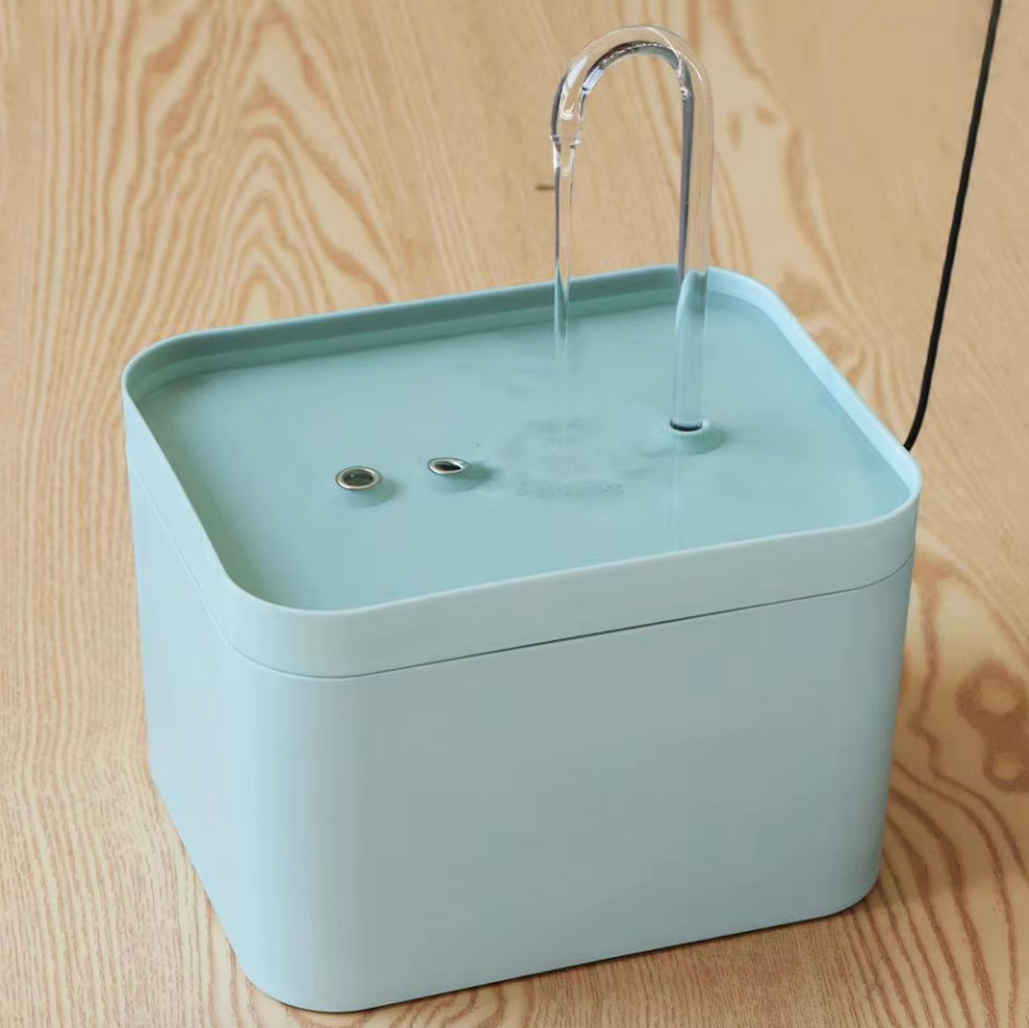 Fuente de agua para una hidratación óptima de su gato