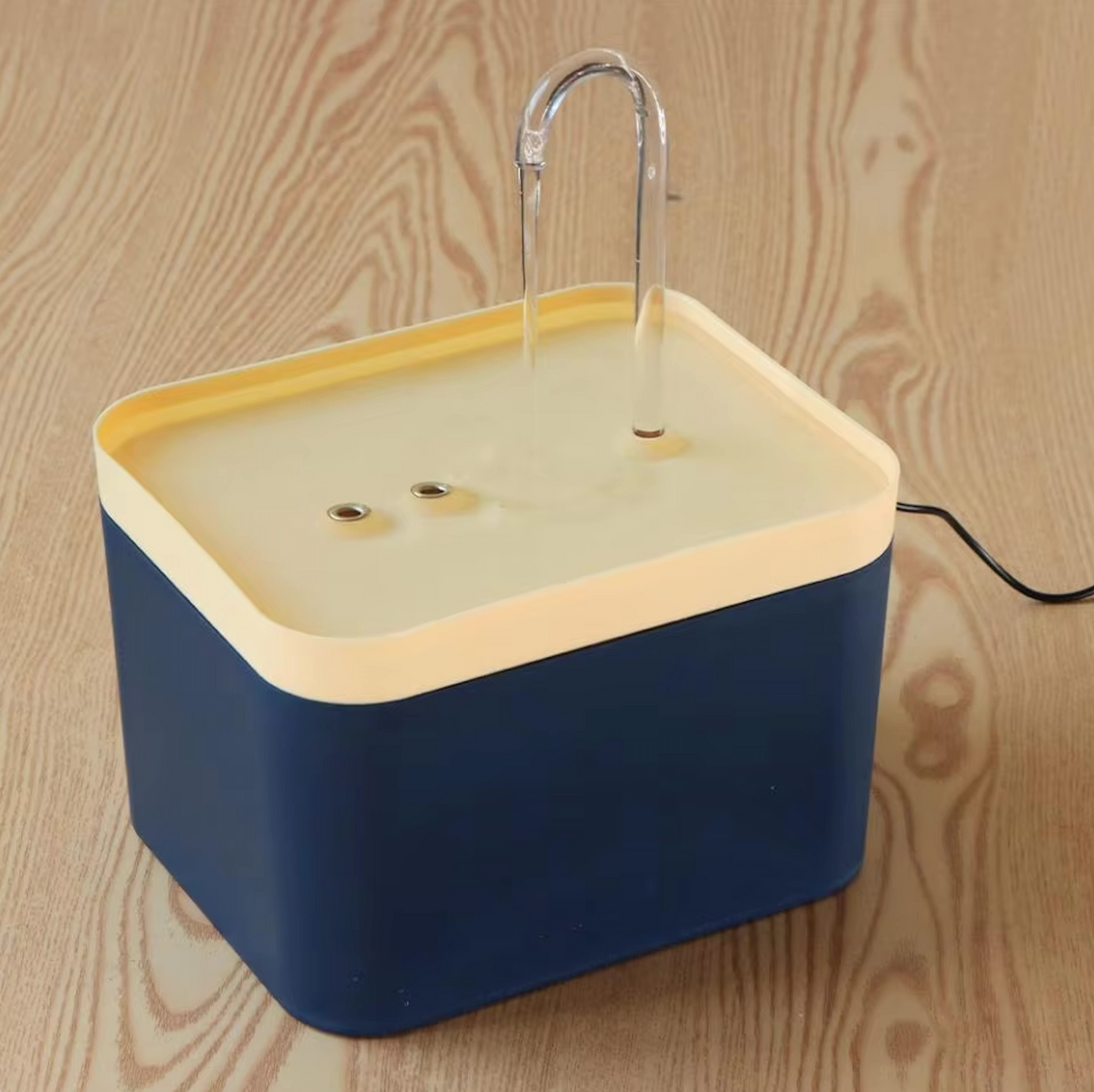 Fuente de agua para una hidratación óptima de su gato