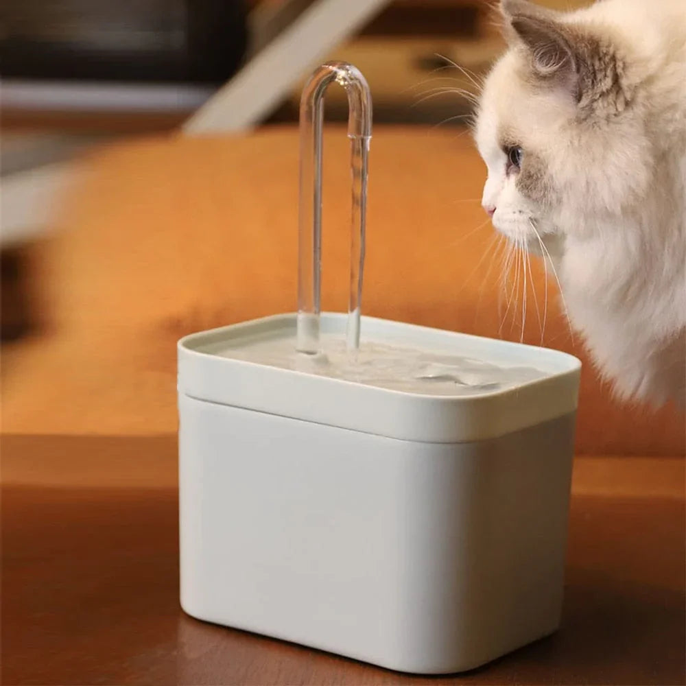 Fuente de agua para una hidratación óptima de su gato