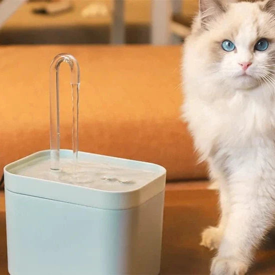 Fuente de agua para una hidratación óptima de su gato