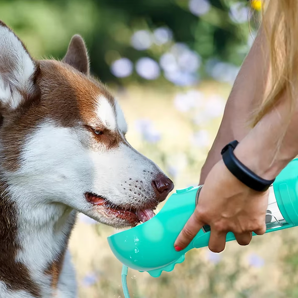 4-in-1 bottle to hydrate and nourish your dog 