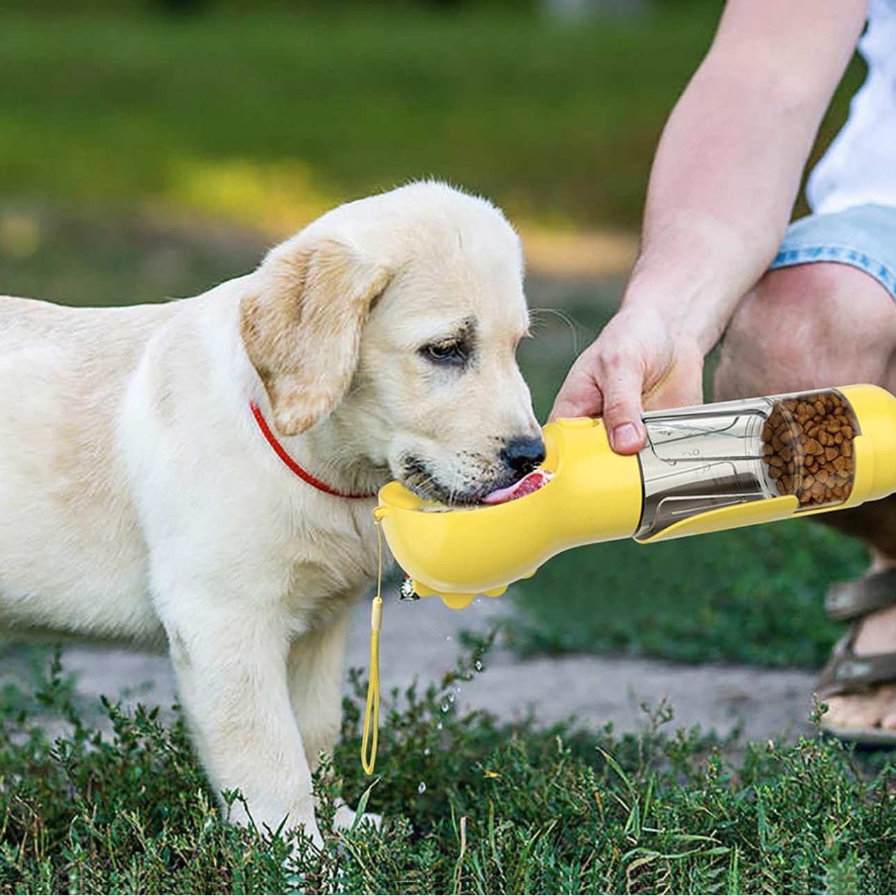 4-in-1 bottle to hydrate and nourish your dog 